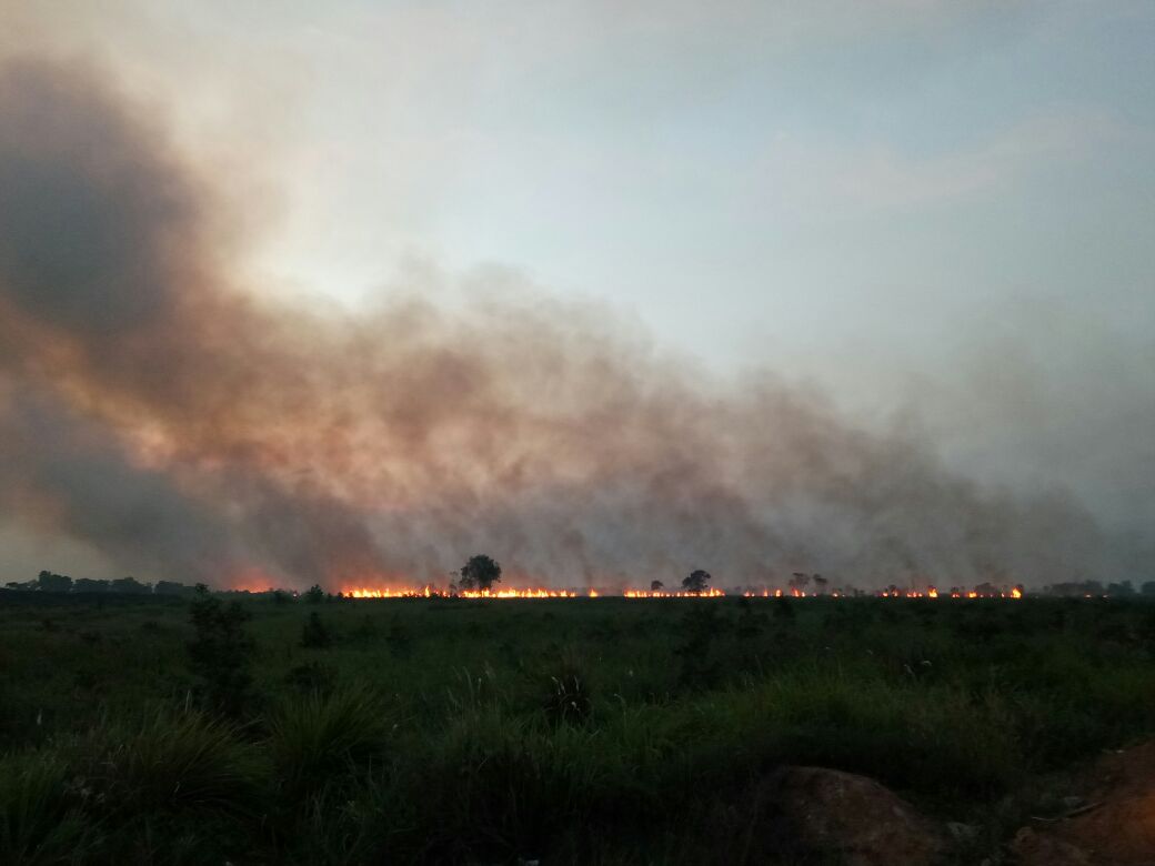 Kebakaran Hutan Terus Berlangsung Di Kalimantan Barat 150 Hotspot